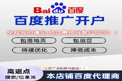 百度推广运营成功案例：行业领先企业的秘诀